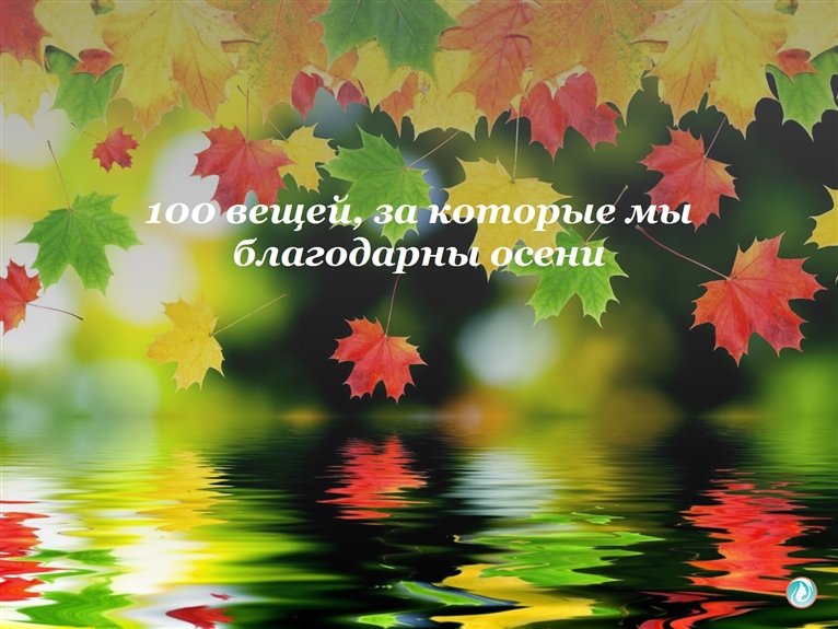 100 вещей, за которые мы благодарны осени