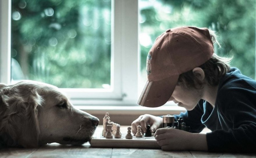 Логическое увлечение