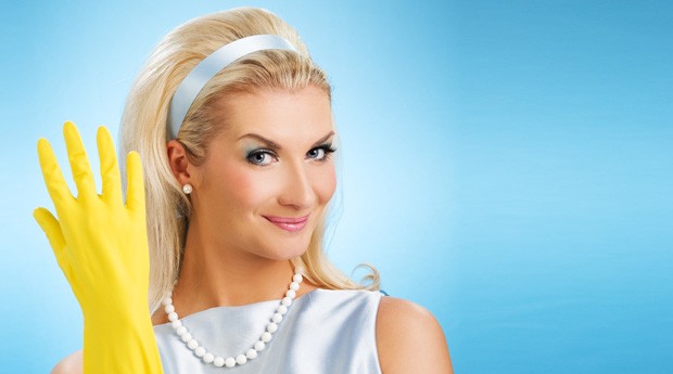 Лучшая домохозяйка