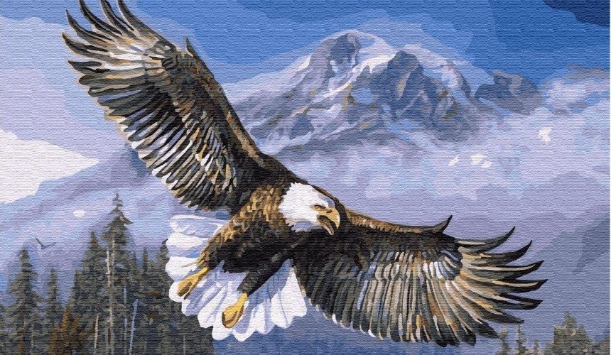 Парящий орел