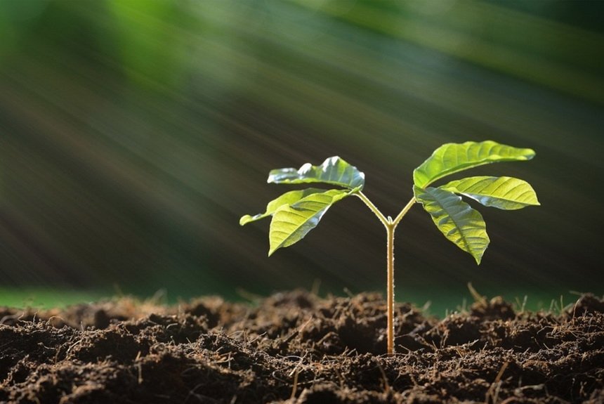 Биоремедиатор Биоремедиатор