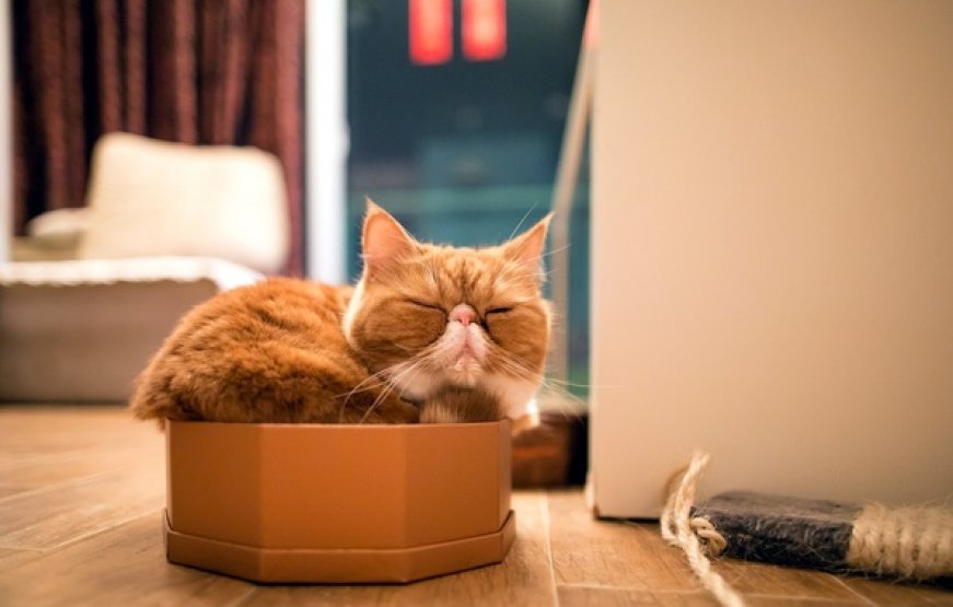 спокойствие