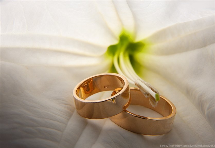 Когда лучше заключать брак в марте 2024 года: благоприятные дни