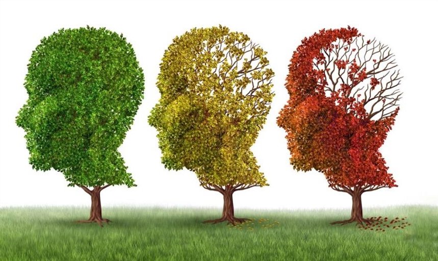 Возрастное угасание памяти Возрастное угасание памяти