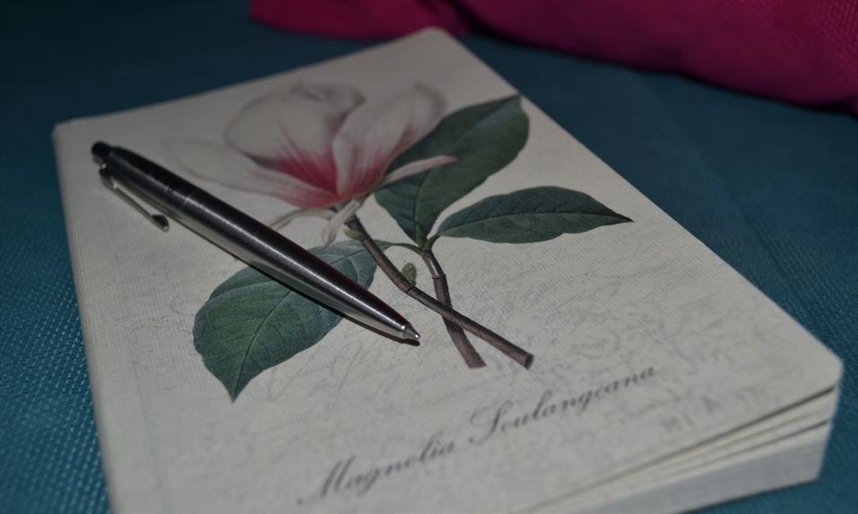 Дневник успехов