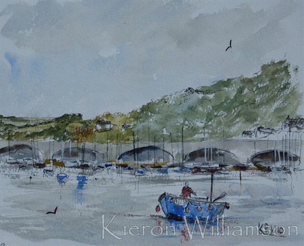 кирон уильямсон