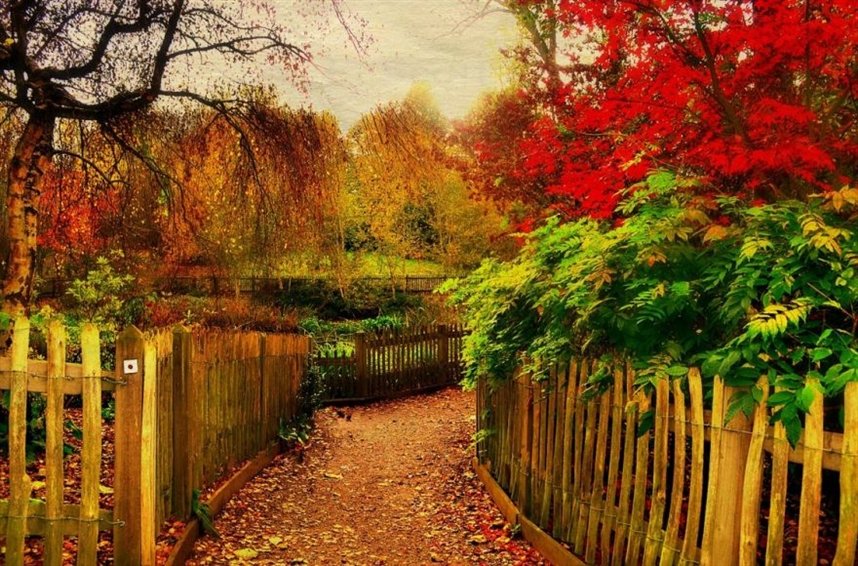 Чарующая магия изъянов Чарующая магия изъянов