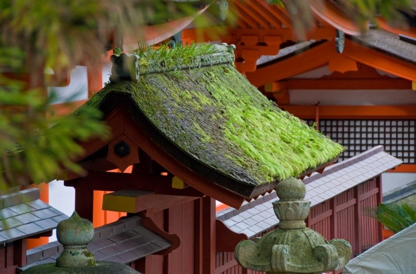 Японский храм Японский храм