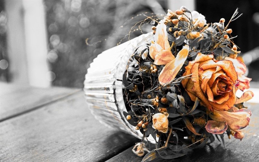 Красота увядания Красота увядания