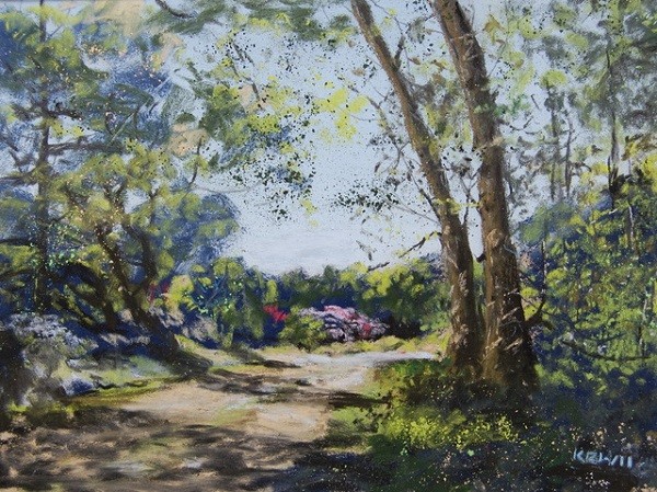 кирон уильямсон