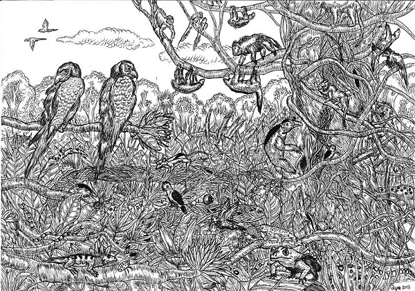 душан кртолица