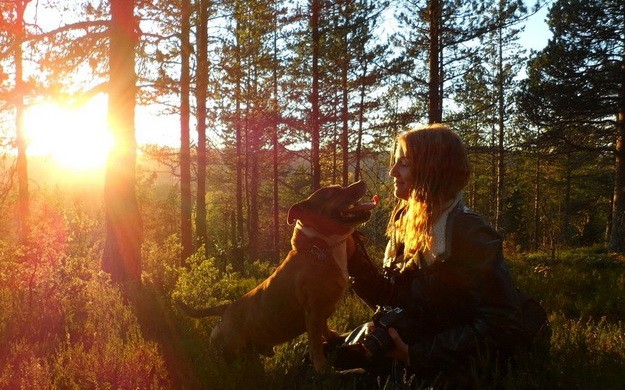 собака собака