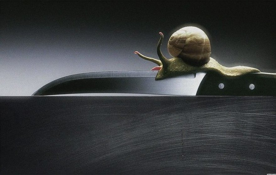 Всё про улиток