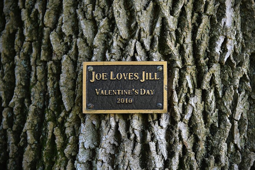 Джилл и Джо Байден