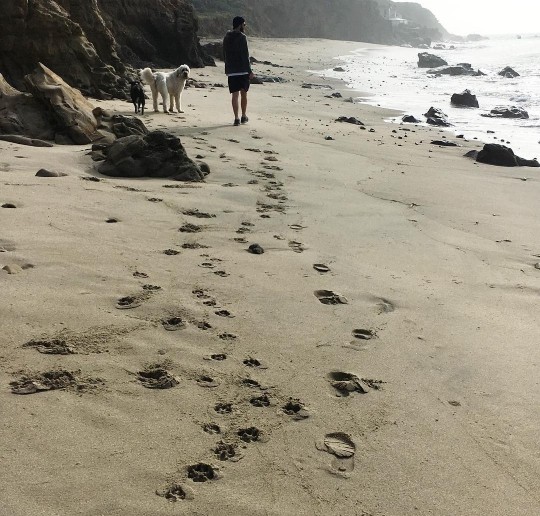 майли сайрус и лиам хемсворт 14 февраля