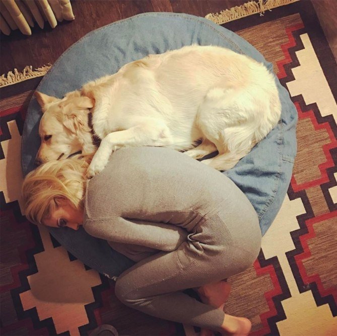 Эллисон Уильямс Эллисон Уильямс