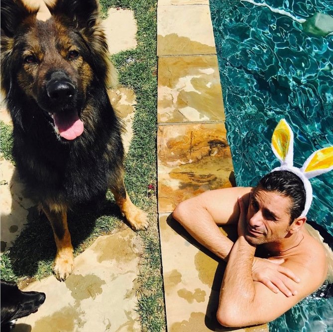 Джон Стэймос Джон Стэймос