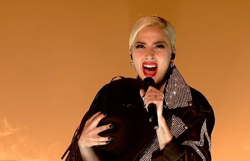 пластика леди гага