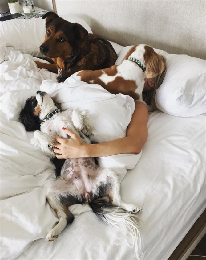 Джулианна Хаф Джулианна Хаф