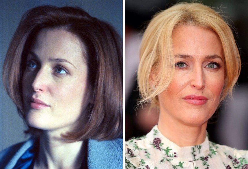 джиллиан андерсон джиллиан андерсон